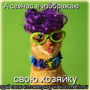 А сейчас я изображаю свою хозяйку... Котоматрица: А сейчас я изображаю свою хозяйку