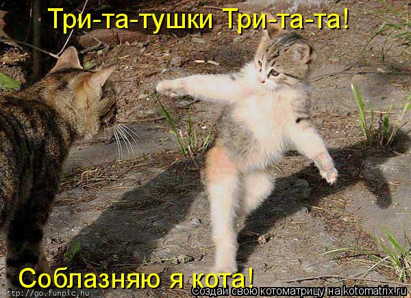 Три-та-тушки Три-та-та! Соблазняю я кота!... Котоматрица: Три-та-тушки Три-та-та! Соблазняю я кота!