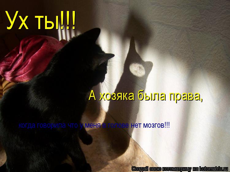 Ух ты!!! А хозяка была права, когда говорила что у меня в голове нет мозгов!!!... Котоматрица: Ух ты!!! А хозяка была права, когда говорила что у меня в голове нет мозгов!!!