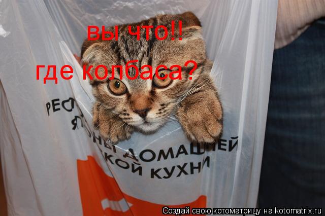 вы что!! где колбаса?... Котоматрица: вы что!! где колбаса?