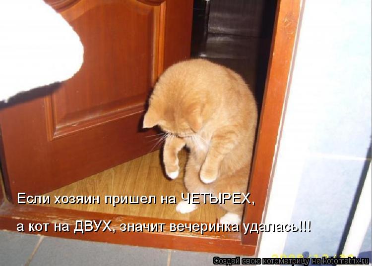 Если хозяин пришел на ЧЕТЫРЕХ, а кот на ДВУХ, значит вечеринка удалась!!!... Котоматрица: Если хозяин пришел на ЧЕТЫРЕХ, а кот на ДВУХ, значит вечеринка удалась!!!
