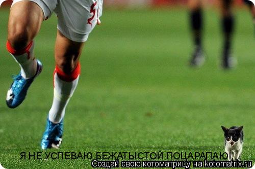 Я НЕ УСПЕВАЮ БЕЖАТЬ!СТОЙ ПОЦАРАПАЮ!... Котоматрица: Я НЕ УСПЕВАЮ БЕЖАТЬ!СТОЙ ПОЦАРАПАЮ!