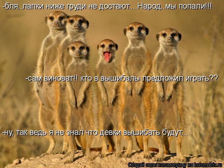 -бля..лапки ниже груди не достают....Народ..мы попали!!! -сам виноват!! кто в вышибалы предложил игра... Котоматрица: -бля..лапки ниже груди не достают....Народ..мы попали!!! -сам виноват!! кто в вышибалы предложил играть?? -ну, так ведь я не знал что девки вышибат