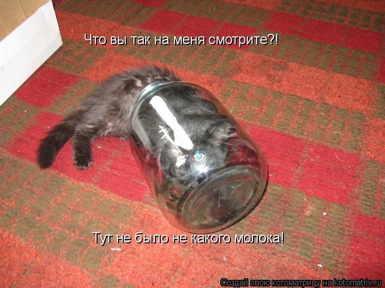 Что вы так на меня смотрите?! Тут не было не какого молока!... Котоматрица: Что вы так на меня смотрите?! Тут не было не какого молока!