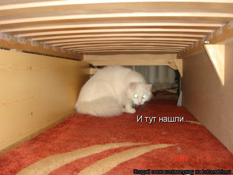 И тут нашли...... Котоматрица: И тут нашли...