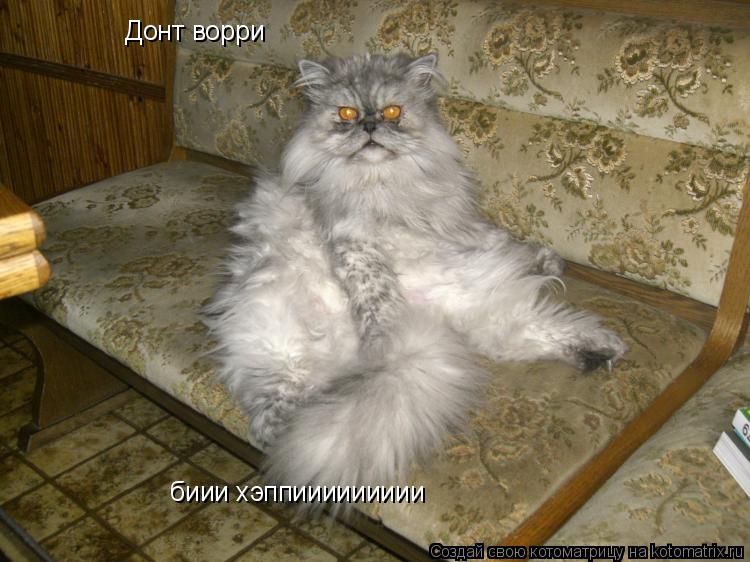 Донт ворри биии хэппиииииииии... Котоматрица: Донт ворри биии хэппиииииииии