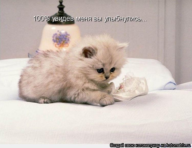100% увидев меня вы улыбнулись...... Котоматрица: 100% увидев меня вы улыбнулись...