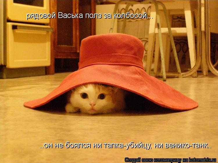 рядовой Васька полз за колбосой... ..он не боялся ни тапка-убийцу, ни венико-танк..... Котоматрица: рядовой Васька полз за колбосой... ..он не боялся ни тапка-убийцу, ни венико-танк..