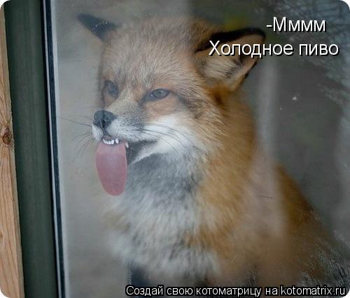 -Мммм -Мммм Холодное пиво... Котоматрица: -Мммм -Мммм Холодное пиво