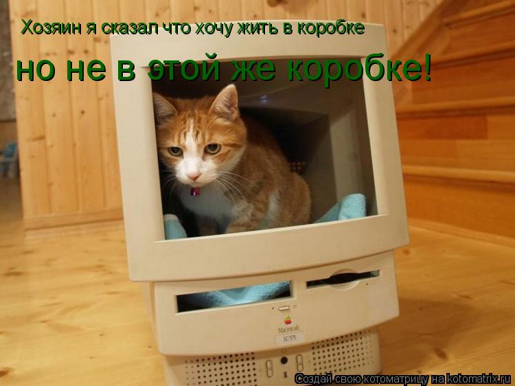 Хозяин я сказал что хочу жить в коробке но не в этой же коробке!... Котоматрица: Хозяин я сказал что хочу жить в коробке но не в этой же коробке!