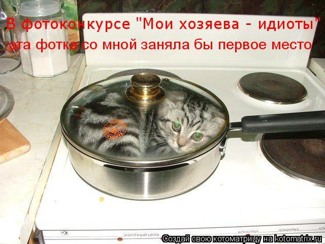 В фотоконкурсе "Мои хозяева - идиоты" эта фотка со мной заняла бы первое место... Котоматрица: В фотоконкурсе "Мои хозяева - идиоты" эта фотка со мной заняла бы первое место