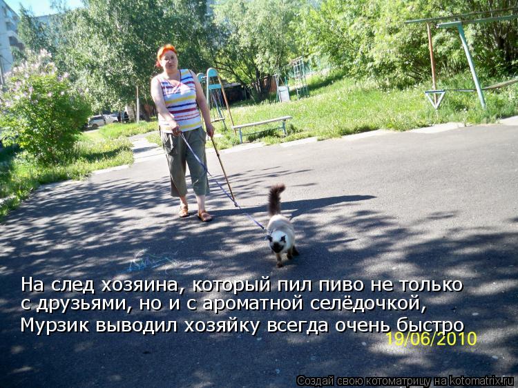 На след хозяина, который пил пиво не только с друзьями, но и с ароматной селёдочкой, Мурзик выводил ... Котоматрица: На след хозяина, который пил пиво не только с друзьями, но и с ароматной селёдочкой, Мурзик выводил хозяйку всегда очень быстро