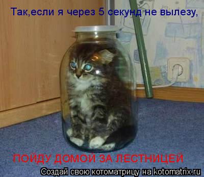 Так,если я через 5 секунд не вылезу, ПОЙДУ ДОМОЙ ЗА ЛЕСТНИЦЕЙ... Котоматрица: Так,если я через 5 секунд не вылезу, ПОЙДУ ДОМОЙ ЗА ЛЕСТНИЦЕЙ