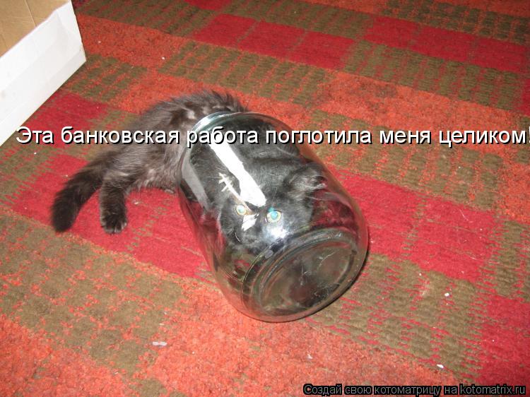 Эта банковская работа поглотила меня целиком!... Котоматрица: Эта банковская работа поглотила меня целиком!
