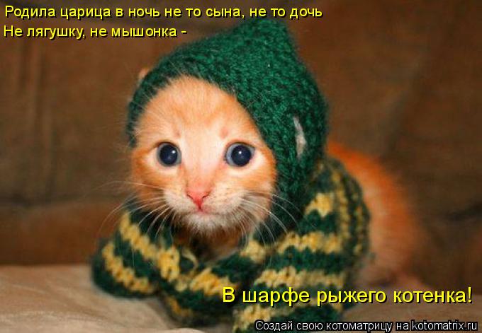 Родила царица в ночь Родила царица в ночь не то сына, не то дочь Не лягушку, не мышонка - В шарфе ры... Котоматрица: Родила царица в ночь Родила царица в ночь не то сына, не то дочь Не лягушку, не мышонка - В шарфе рыжего котенка!