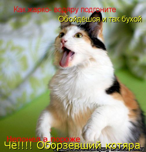 Как жарко- водяру подгоните Обойдёшся и так бухой Непонел а пороже Чё!!!! Оборзевший котяра... Котоматрица: Как жарко- водяру подгоните Обойдёшся и так бухой Непонел а пороже Чё!!!! Оборзевший котяра