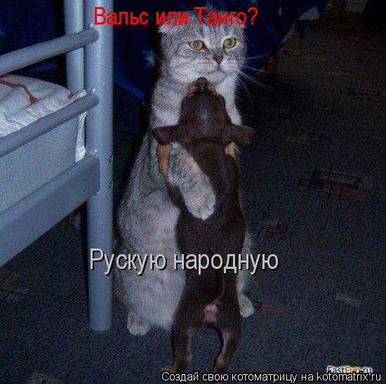 Вальс или Танго? Рускую народную... Котоматрица: Вальс или Танго? Рускую народную