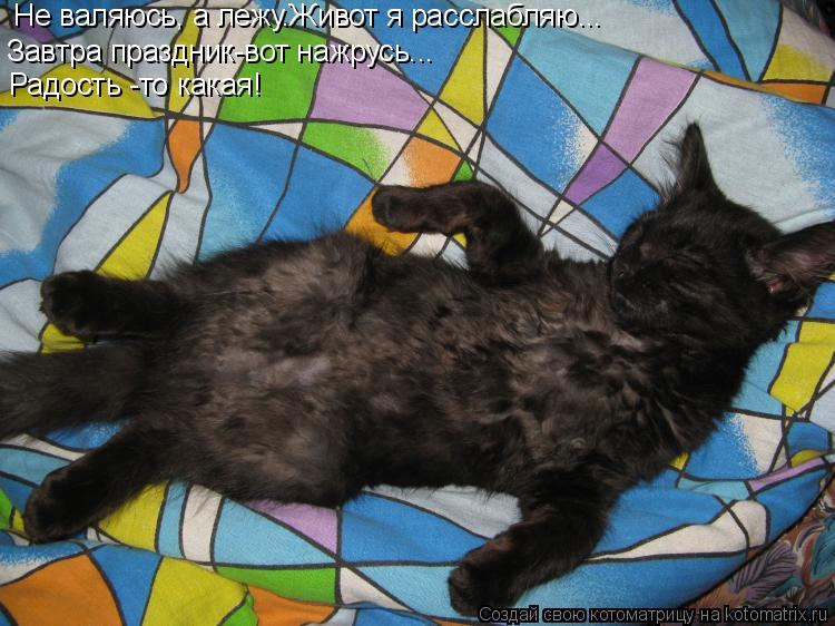 Не валяюсь, а лежу.Живот я расслабляю... Завтра праздник-вот нажрусь... Радость -то какая!... Котоматрица: Не валяюсь, а лежу.Живот я расслабляю... Завтра праздник-вот нажрусь... Радость -то какая!