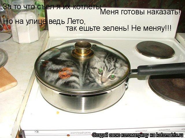 За то что съел я их котлеты Меня готовы наказать! Но на улице ведь Лето, так ешьте зелень! Не меняу!!... Котоматрица: За то что съел я их котлеты Меня готовы наказать! Но на улице ведь Лето, так ешьте зелень! Не меняу!!!