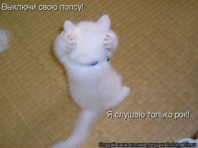 Выключи свою попсу! Я слушаю только рок!... Котоматрица: Выключи свою попсу! Я слушаю только рок!