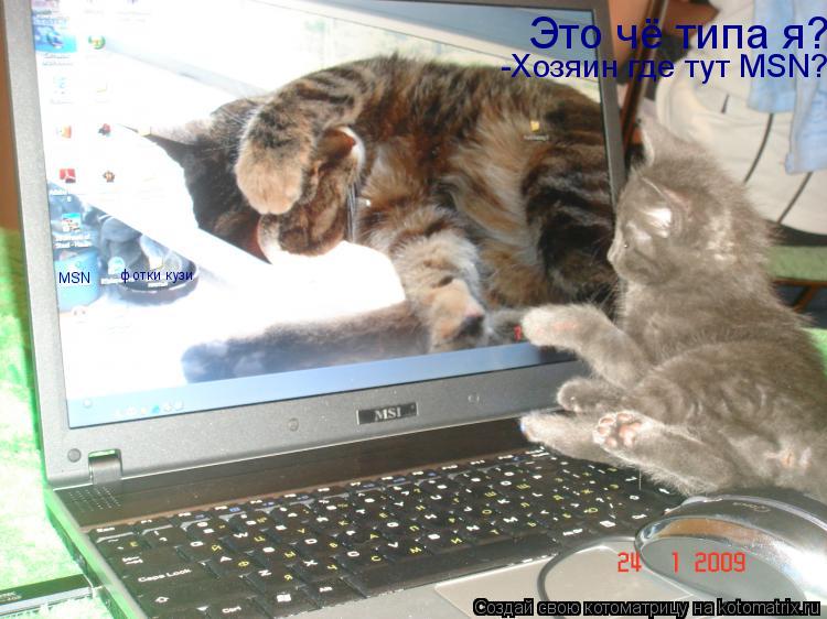 фотки кузи Это чё типа я? -Хозяин где тут MSN? MSN... Котоматрица: фотки кузи Это чё типа я? -Хозяин где тут MSN? MSN