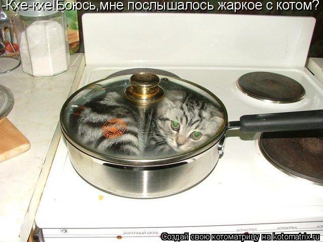 Котоматрица: -Кхе-кхе!Боюсь,мне послышалось жаркое с котом?