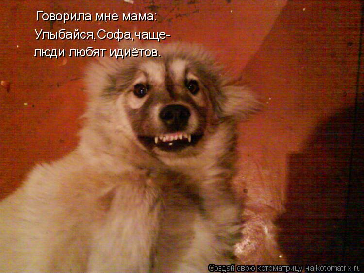 Говорила мне мама: Улыбайся,Софа,чаще- люди любят идиётов.... Котоматрица: Говорила мне мама: Улыбайся,Софа,чаще- люди любят идиётов.