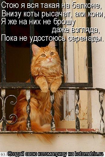 Стою я вся такая на балконе, Внизу коты рысачат, аки кони, Я же на них не брошу даже взгляда, Пока н... Котоматрица: Стою я вся такая на балконе, Внизу коты рысачат, аки кони, Я же на них не брошу даже взгляда, Пока не удостоюсь серенады.