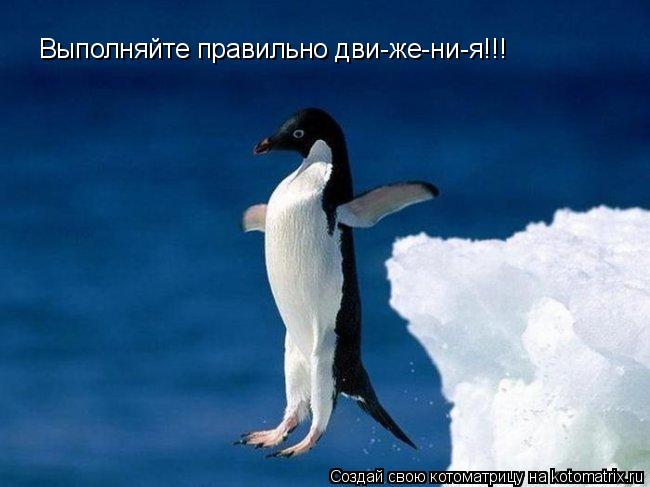 Выполняйте правильно дви-же-ни-я!!!... Котоматрица: Выполняйте правильно дви-же-ни-я!!!