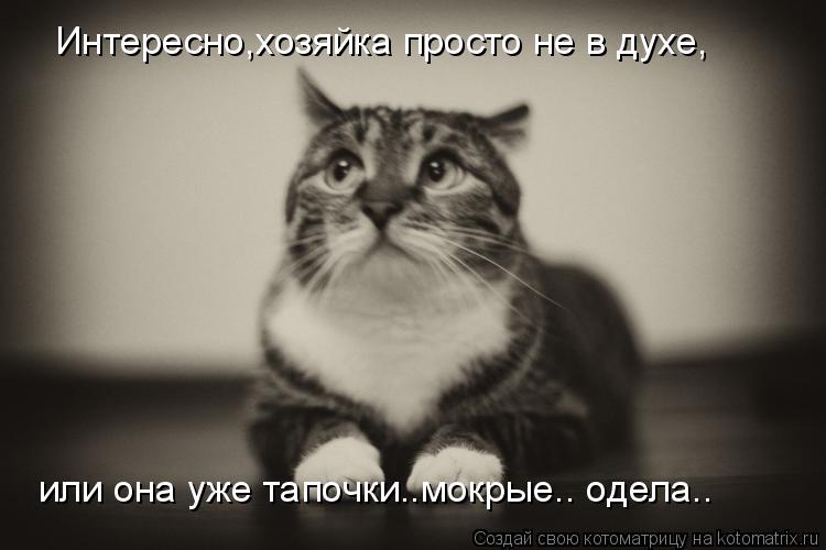 Интересно,хозяйка просто не в духе, или она уже тапочки..мокрые.. одела..... Котоматрица: Интересно,хозяйка просто не в духе, или она уже тапочки..мокрые.. одела..