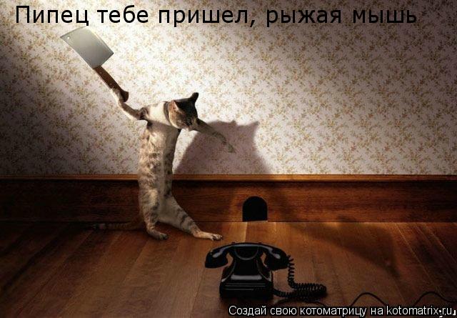 Пипец тебе пришел, рыжая мышь... Котоматрица: Пипец тебе пришел, рыжая мышь