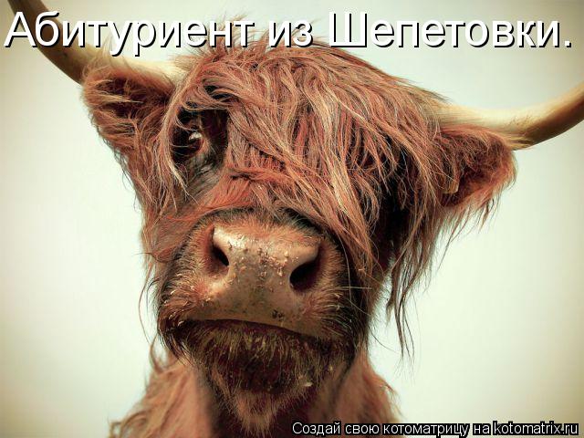 Абитуриент из Шепетовки.... Котоматрица: Абитуриент из Шепетовки.