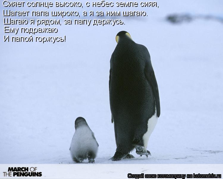 Сияет солнце высоко, с небес земле сияя, Шагает папа широко, а я за ним шагаю. Шагаю я рядом, за па... Котоматрица: Сияет солнце высоко, с небес земле сияя, Шагает папа широко, а я за ним шагаю. Шагаю я рядом, за папу держусь. Ему подражаю И папой горжусь!
