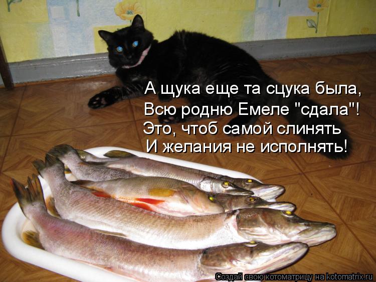 А щука еще та сцука была, Всю родню Емеле "сдала"! Это, чтоб самой слинять И желания не исполнять!... Котоматрица: А щука еще та сцука была, Всю родню Емеле "сдала"! Это, чтоб самой слинять И желания не исполнять!