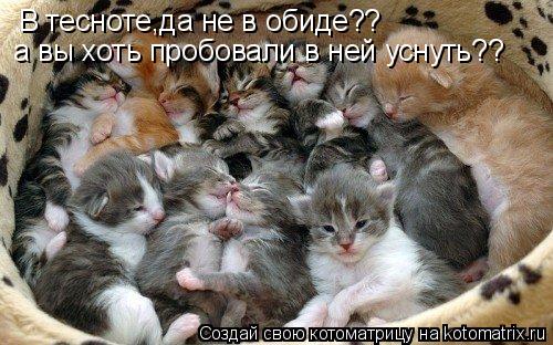 В тесноте,да не в обиде?? а вы хоть пробовали в ней уснуть??... Котоматрица: В тесноте,да не в обиде?? а вы хоть пробовали в ней уснуть??