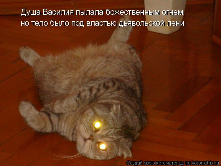 Душа Василия пылала божественным огнем, но тело было под властью дьявольской лени.... Котоматрица: Душа Василия пылала божественным огнем, но тело было под властью дьявольской лени.
