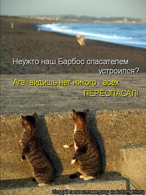 Неужто наш Барбос спасателем устроился? Ага, видишь нет никого - всех ПЕРЕСПАСАЛ!... Котоматрица: Неужто наш Барбос спасателем устроился? Ага, видишь нет никого - всех ПЕРЕСПАСАЛ!