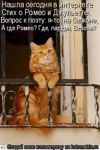 Нашла сегодня в интернете Стих о Ромео и Джульетте. Вопрос к поэту: я-то, на балконе, А где Ромео? Гд... Котоматрица: Нашла сегодня в интернете Стих о Ромео и Джульетте. Вопрос к поэту: я-то, на балконе, А где Ромео? Где, пардон, Верона?