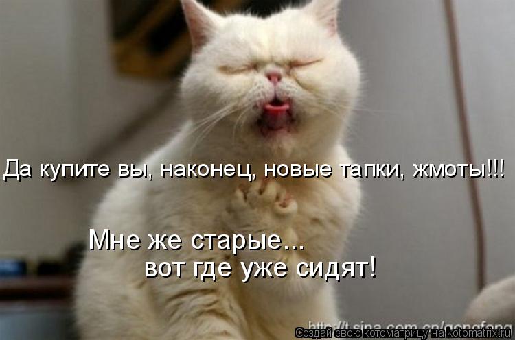 Да купите вы, наконец, новые тапки, жмоты!!! Мне же старые... вот где уже сидят!... Котоматрица: Да купите вы, наконец, новые тапки, жмоты!!! Мне же старые... вот где уже сидят!