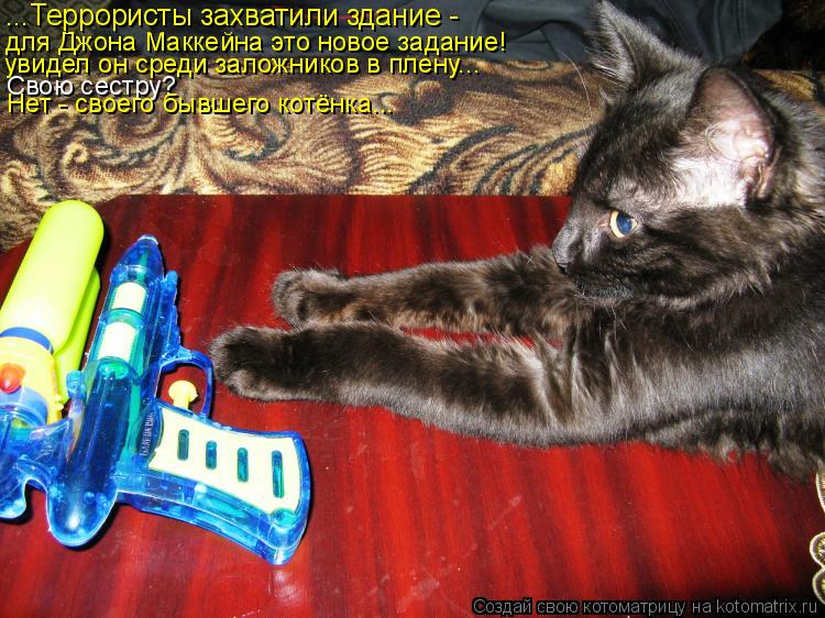 для Джона Маккейна это новое задание! увидел он среди заложников в плену... Свою сестру? Нет - своего... Котоматрица: для Джона Маккейна это новое задание! увидел он среди заложников в плену... Свою сестру? Нет - своего бывшего котёнка... ...Террористы захватил