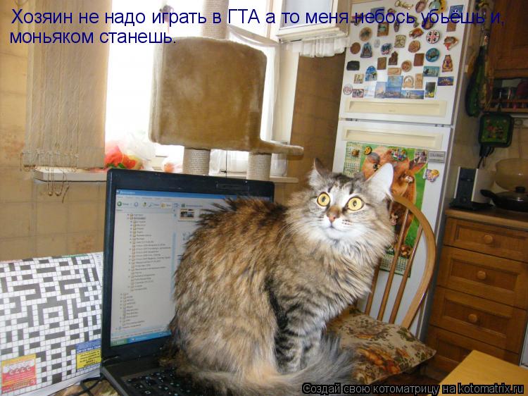 Хозяин не надо играть в ГТА а то меня небось убьёшь и, моньяком станешь.... Котоматрица: Хозяин не надо играть в ГТА а то меня небось убьёшь и, моньяком станешь.