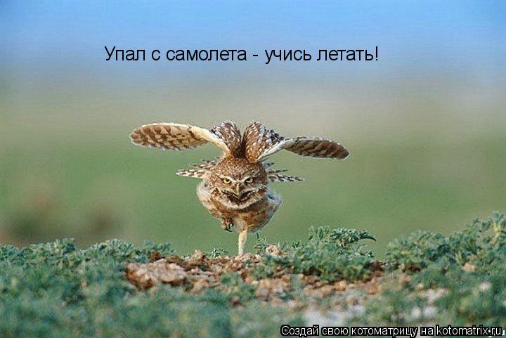 Упал с самолета - учись летать!... Котоматрица: Упал с самолета - учись летать!