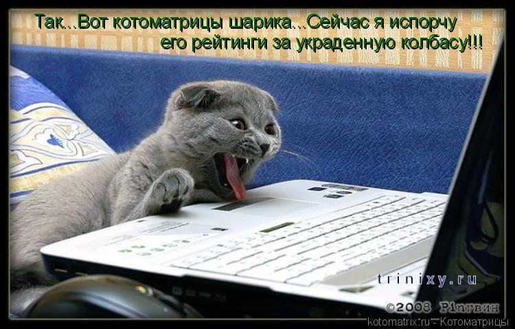 Так...Вот котоматрицы шарика...Сейчас я испорчу его рейтинги за украденную колбасу!!!... Котоматрица: Так...Вот котоматрицы шарика...Сейчас я испорчу его рейтинги за украденную колбасу!!!