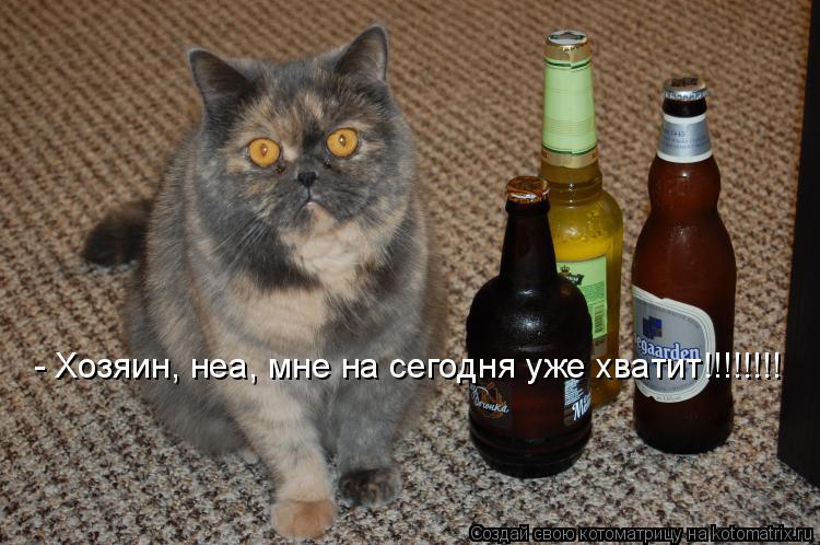 - Хозяин, неа, мне на сегодня уже хватит!!!!!!!!... Котоматрица: - Хозяин, неа, мне на сегодня уже хватит!!!!!!!!