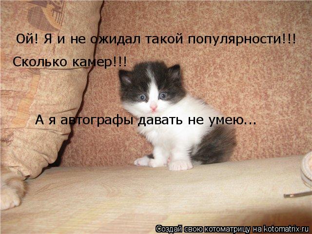 Ой! Я и не ожидал такой популярности!!! Сколько камер!!! А я автографы давать не умею...... Котоматрица: Ой! Я и не ожидал такой популярности!!! Сколько камер!!! А я автографы давать не умею...