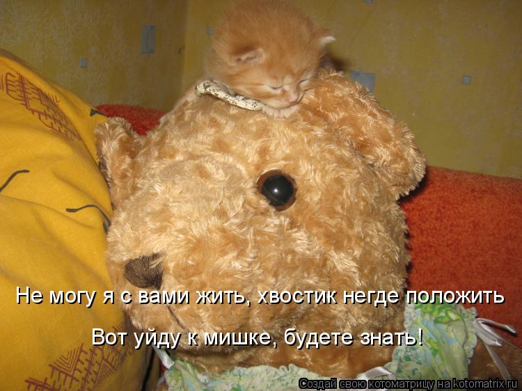 Не могу я с вами жить, хвостик негде положить Вот уйду к мишке, будете знать!... Котоматрица: Не могу я с вами жить, хвостик негде положить Вот уйду к мишке, будете знать!