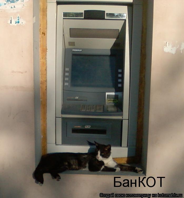 БанКОТ... Котоматрица: БанКОТ
