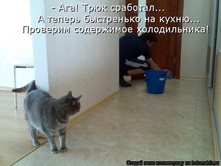 - Ага! Трюк сработал... А теперь быстренько на кухню... Проверим содержимое холодильника!... Котоматрица: - Ага! Трюк сработал... А теперь быстренько на кухню... Проверим содержимое холодильника!