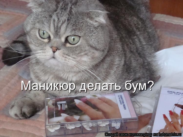 Маникюр делать бум?... Котоматрица: Маникюр делать бум?