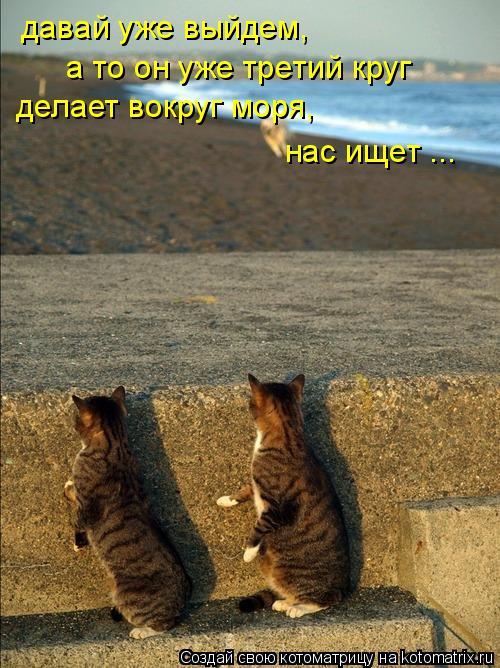 давай уже выйдем, а то он уже третий круг делает вокруг моря, нас ищет ...... Котоматрица: давай уже выйдем, а то он уже третий круг делает вокруг моря, нас ищет ...